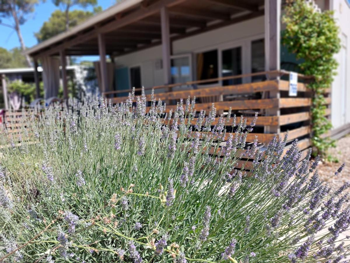 Holiday Homes Lavanda - ビオグラード・ナ・モル エクステリア 写真