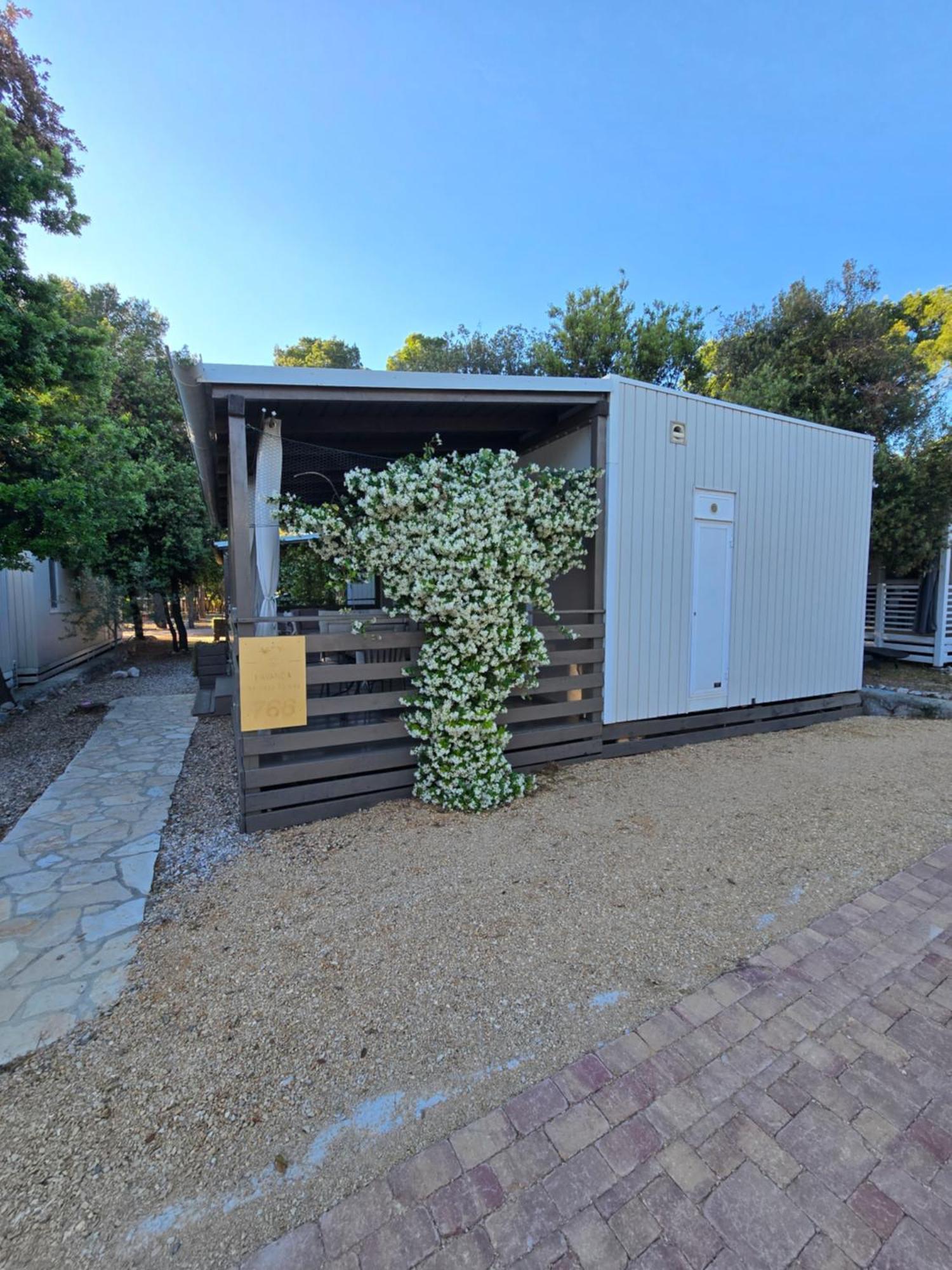 Holiday Homes Lavanda - ビオグラード・ナ・モル エクステリア 写真